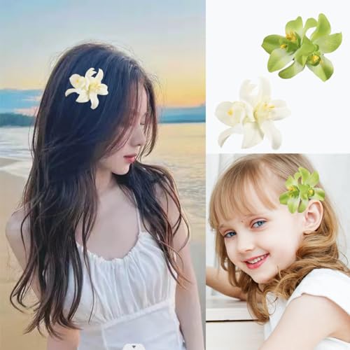 Rowcay Bohemian Flower Hair Clips 5pcs Tropical Hibiscus Hairpins