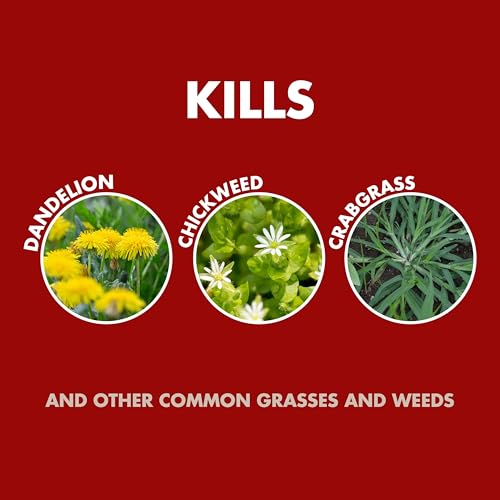 Spectracide Weed & Grass Killer Concentrate - 40 Ounce (6 Pack)