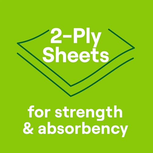 Seventh Generation 2-Ply Recycled Paper Towels, 2-Roll Pack