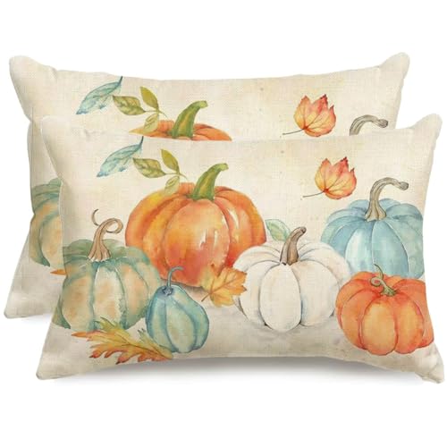 RABUSOFA Fall Lumbar Pillow Covers 12x20, Set of 2 Pumpkin Farmhouse Decor