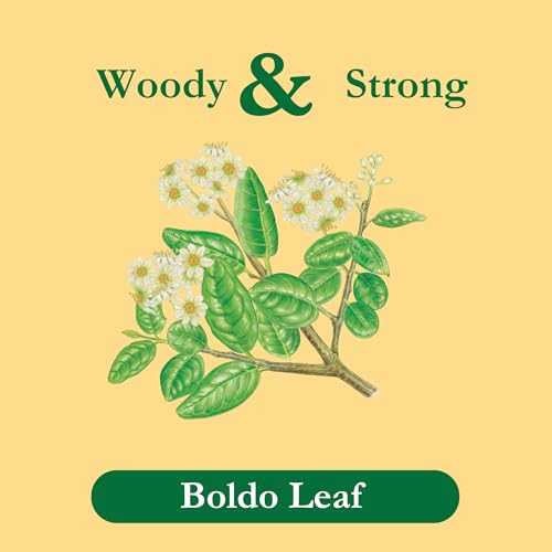 Tadin Boldo Tea - Caffeine-Free Herbal Tea, 24 Tea Bags