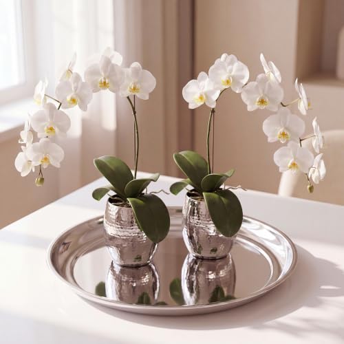 14 Inch Silver Mirror Decorative Tray Set - Round Stainless Steel