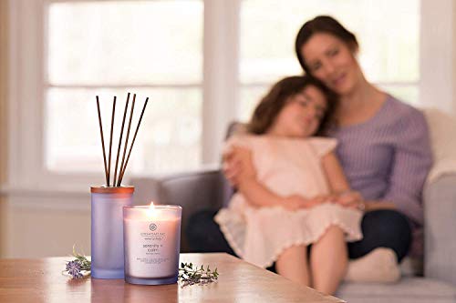 Serenity + Calm Lavender Thyme Scented Candles 8.8oz 2-Pack