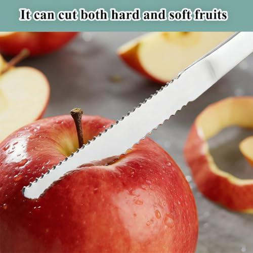 Berglander 5-Piece Stainless Steel Grapefruit Spoon Set with Knife