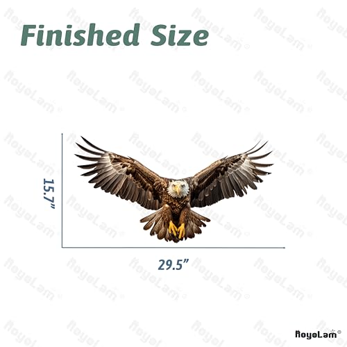 Bald Eagle Wall Decal - Removable Animal Wall Sticker by RoyoLam