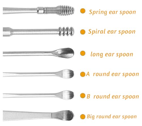 6-Piece Stainless Steel Earwax Removal Tool Set with Leather Case