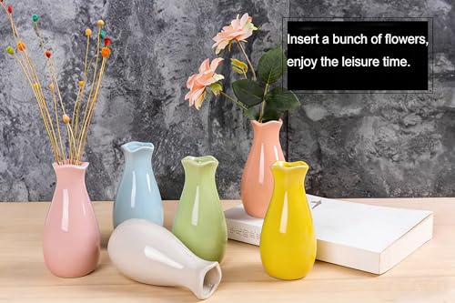 White Ceramic Bud Vase - Small Decorative Floral Holder