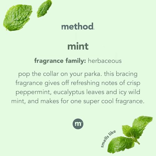 Method Mint Glass Cleaner - 28 oz Streak-Free Shine