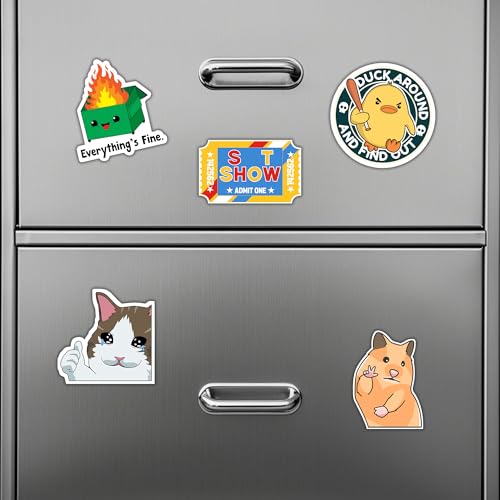 Debinolo Funny Fridge Magnets - 16 Piece Meme Set for Kitchen and Office