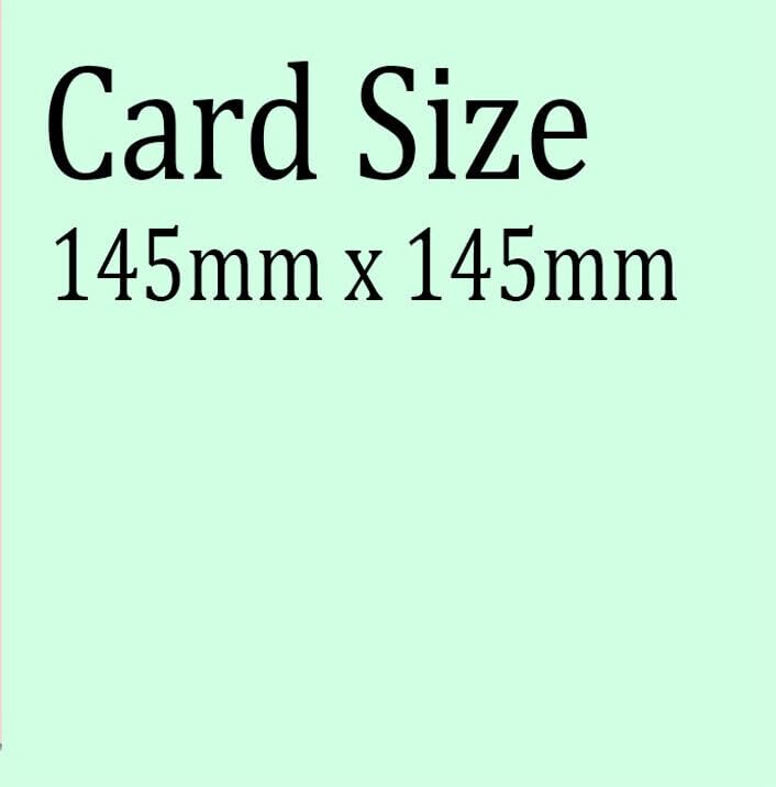 Cute Kitten Birthday Card - Premium Quality Greeting Card