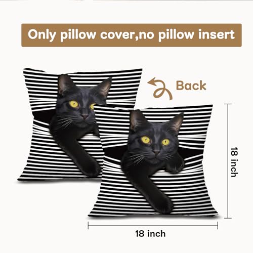 Funny Black Cat Pillow Cover 18x18 - Whimsical Home Decor