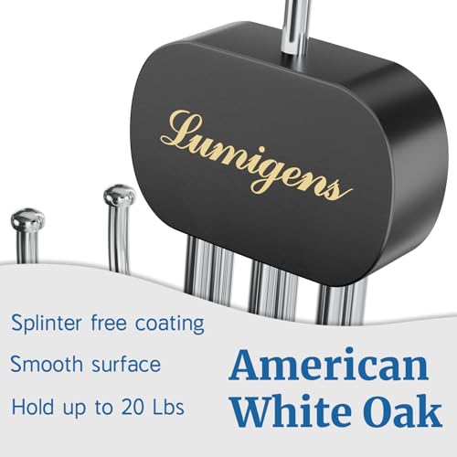 Lumigens Black 2-Piece Belt & Tie Organizer Hanger for Closet, Multi-Use