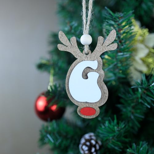 26 Reindeer Name Ornaments - Festive Christmas Tree Decorations