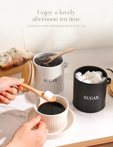 AISBUGUR Metal Sugar Bowl with Lid and Spoon, White, 15 oz Kitchen Canister