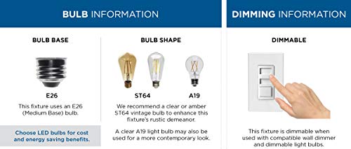 Progress Lighting Gunther Collection 2-Light Clear Glass Farmhouse Outdoor Flush Mount Light Antique Bronze, 5.75x12.63x12.63