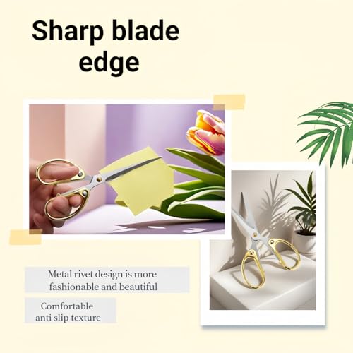 6.3 Inch Stainless Steel Office Scissors Multi-Purpose Ambidextrous Shears