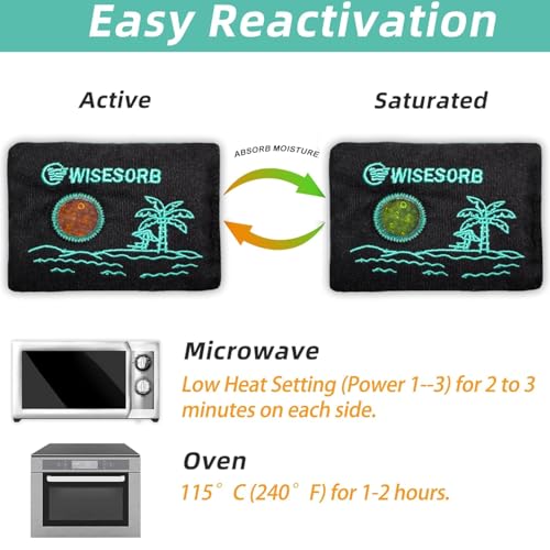Wisesorb 100g Reusable Desiccant Packs - Moisture Absorbers with Window, 2pcs