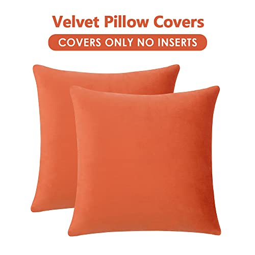 Krifey Velvet Throw Pillow Covers 18x18 Inch, Soft Decorative Cushion Case, 2-Pack