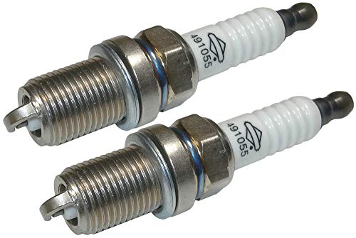 Briggs & Stratton 491055 Spark Plug Kit for Lawn Equipment - 2 Pack