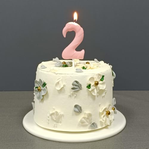 Himomys Pink Flamingo Number 2 Birthday Candle for 2nd Birthday Cake