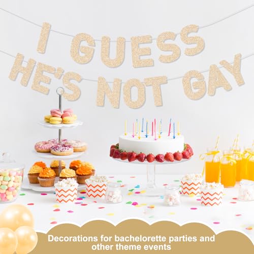 Funny Pre-Strung Bachelor Banner - Hilarious Party Decoration