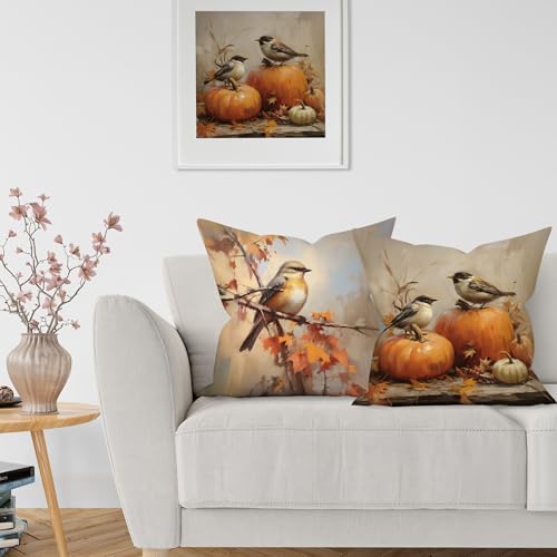 Vintage Fall Pumpkin Bird Throw Pillow Covers Set of 2 - 18x18in