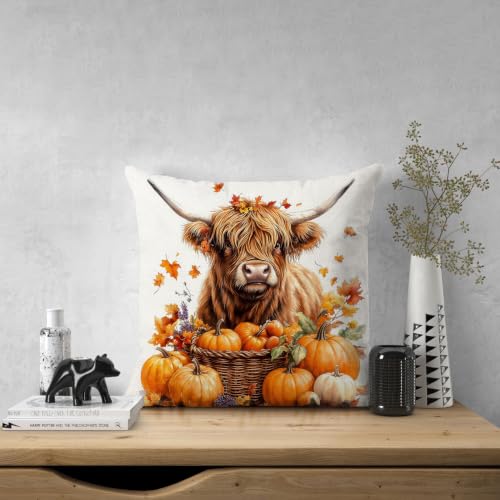 Highland Cow Autumn Pillow Cover 18x18 - Fall Decor with Pumpkins