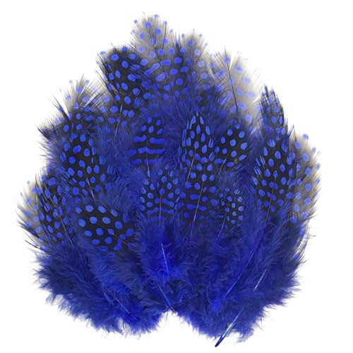 Royal Blue Spotted Pheasant Feathers - 50 Pcs 2-4 Inch Craft Supplies