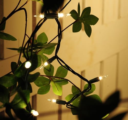 50-Count Clear Christmas String Lights with Connectable Green Wire