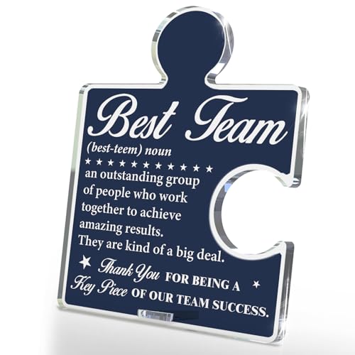 Team Appreciation Acrylic Puzzle Sign - Office Desk Decor - Variation T