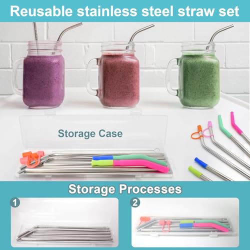 6-Piece Reusable Stainless Steel Straw Set with Silicone Tips & Case - Silver