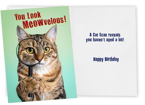 Funny Cat Birthday Card - 5x7 Premium Greeting Card for Cat Lovers