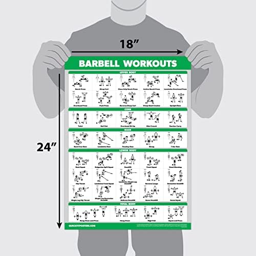 Palace Learning QUICKFIT Barbell Workout Exercise Poster - Laminated, 18" x 24" Size