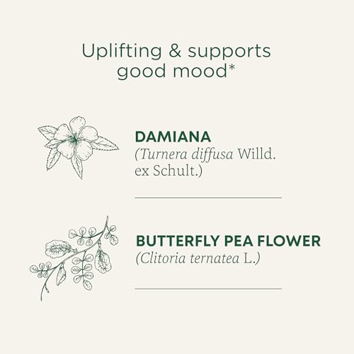 Traditional Medicinals Organic Rosy Mood Tea with Damiana & Butterfly Pea Flower - 16 Tea Bags (Pack of 2)
