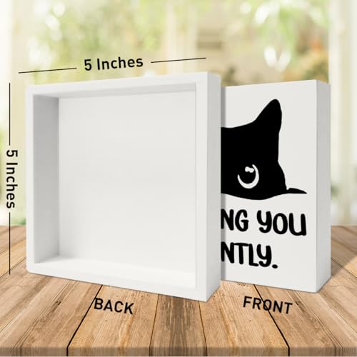 Funny Black Cat Decor Sign - Judging You Silently (E) | Cat Lover Gift
