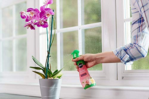Miracle-Gro All Purpose Water Soluble Plant Food Mist 8oz Pack of 6 for Orchids