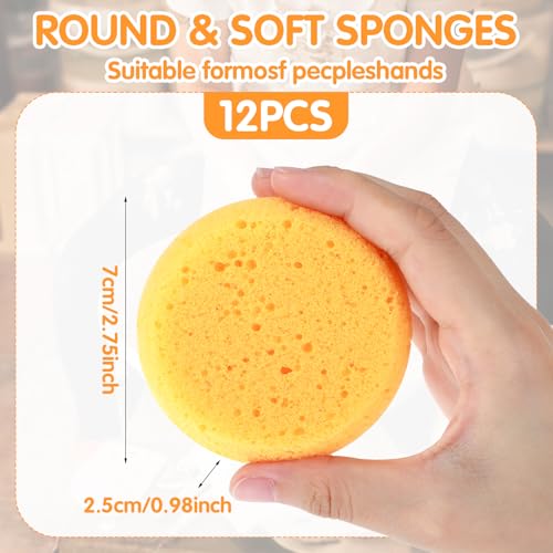Natural Cellulose Kitchen Sponges - 12 Pack Eco-Friendly Dishwashing Sponges