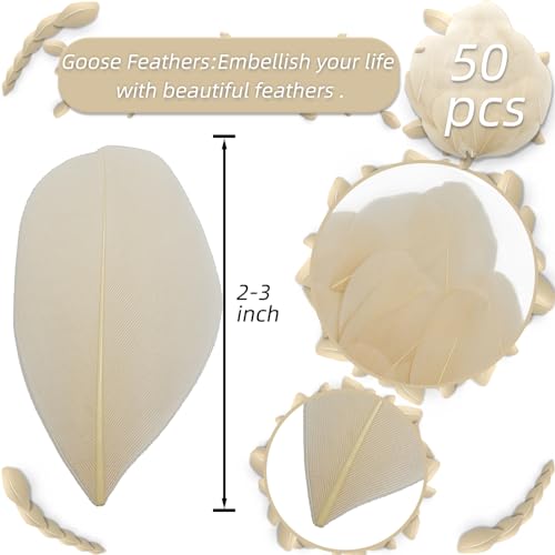 50 Natural Goose Feathers - 2-3 Inch Colorful Craft Feathers