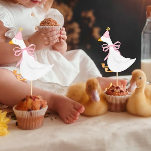 Silly Goose Cupcake Toppers - 12 Pcs Pink Birthday Party Decor