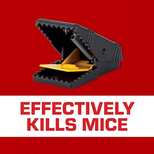 Tomcat Mouse Snap Trap - 4 Reusable Indoor/Outdoor Traps with No-Touch Disposal
