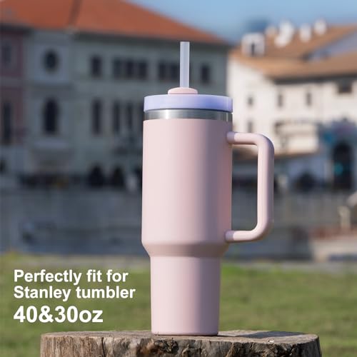 6 Pack Replacement Straws for Stanley Adventure Quencher Cups