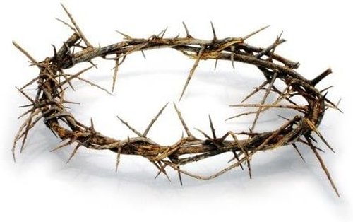 Holy Land Imports Crown of Thorns - Authentic Passion of Christ Gift Box with Description