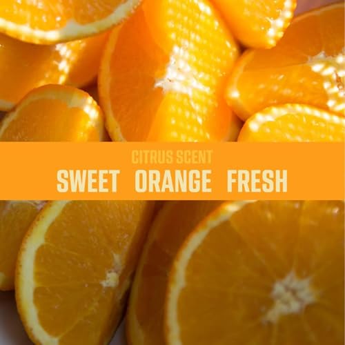 Ozium Air Sanitizer & Odor Eliminator - Citrus Scent (Pack of 3)