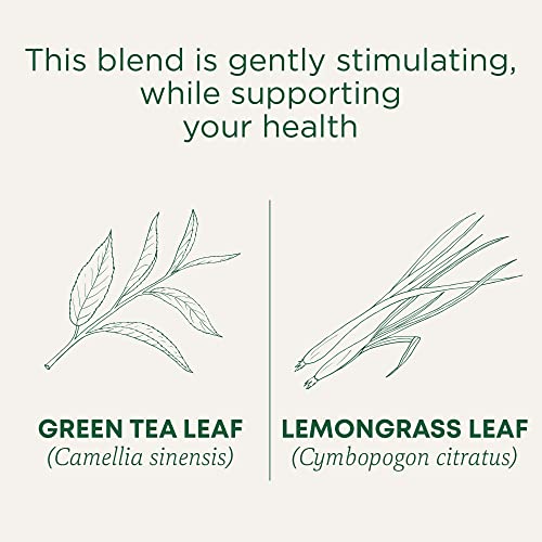Organic Green Tea Lemongrass - 16 Teabags for Everyday Wellness