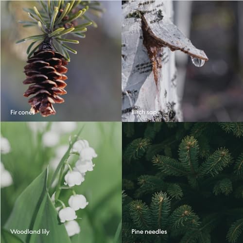 Skandinavisk Scented Candle - Forest (Skog) 2.3oz - Sustainable, Vegan, FSC Beechwood Lid