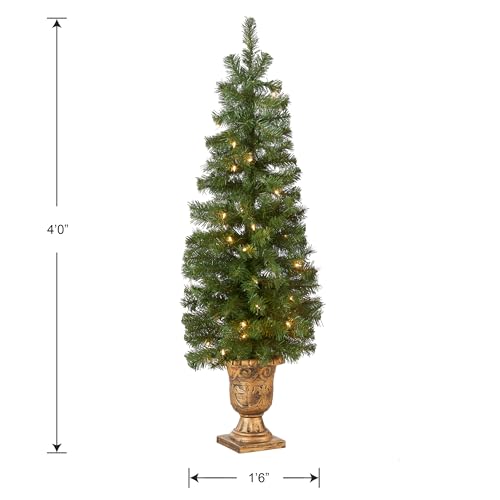 4ft Pre-Lit Montclair Spruce Christmas Entrance Tree - Artificial Holiday Tree