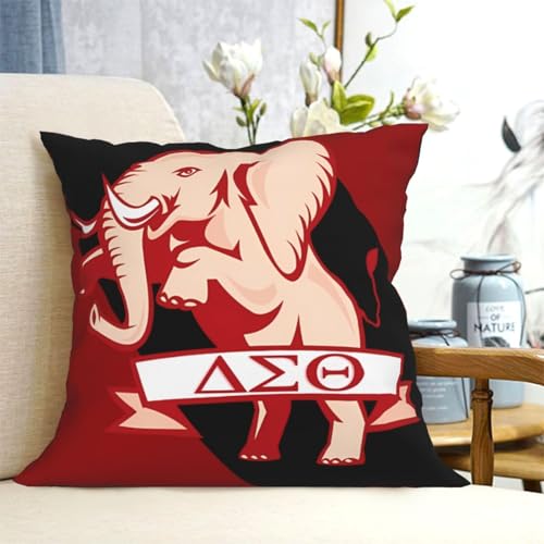 White 18x18 Inch Sorority Throw Pillow Cover - Decorative Couch & Bed Accent