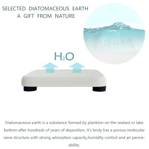 NiuYichee White Diatomite Coasters - 4PCS Quick-Drying Soap Dishes