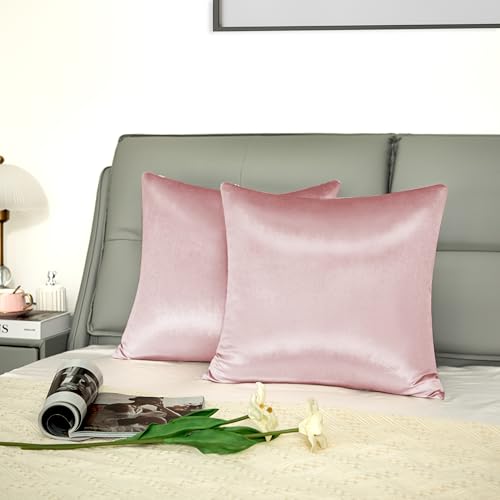 Counfeisly Pink Velvet Throw Pillow Covers, 18x18 Inch, 2 Pack