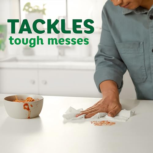 Bounty Paper Towels, Mega Roll - 2 Roll Pack